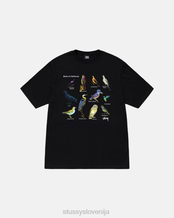 STUSSY 8XB013 Črna majice uniseks california birds tee