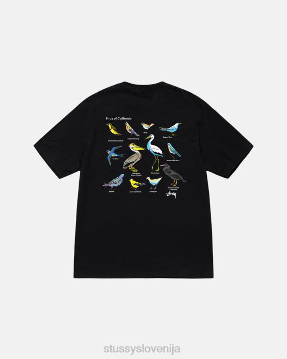 STUSSY 8XB013 Črna majice uniseks california birds tee