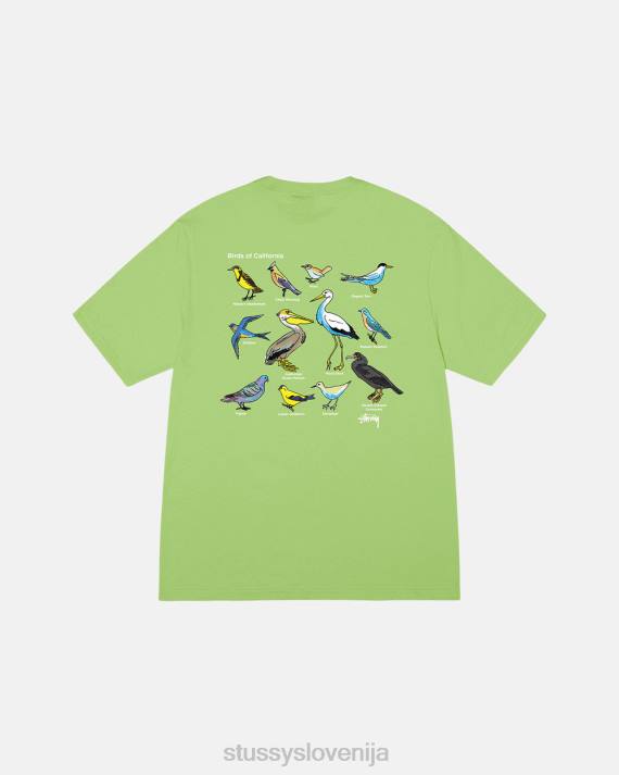 STUSSY 8XB015 čaj majice uniseks california birds tee
