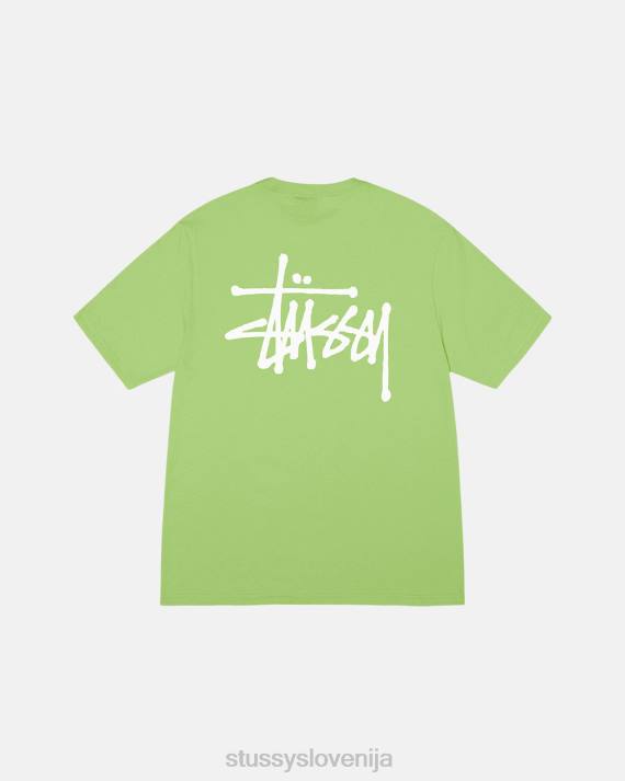 STUSSY 8XB05 čaj majice uniseks osnovna majica